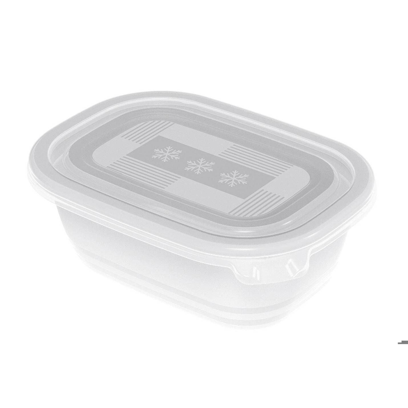 Rotho - Freeze - Gefrierboxen 4er-Set 0,5l mit Deckel - transparent | BPA-frei Kunststoff