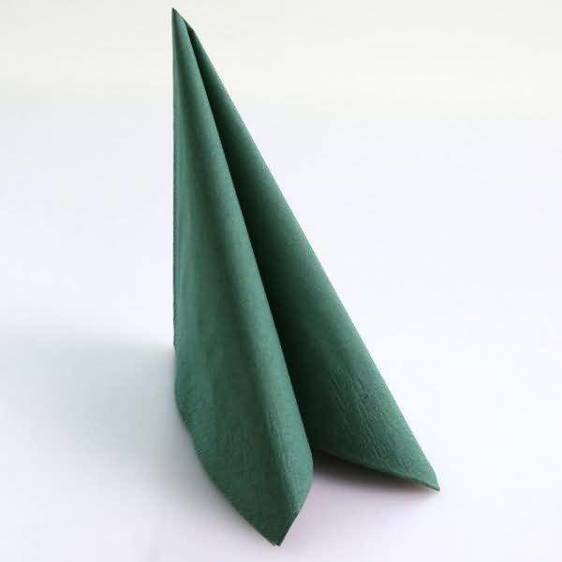 Hygostar - Eleganza 40x40cm 2-lagig Servietten (Grün, VE=250 Stück)