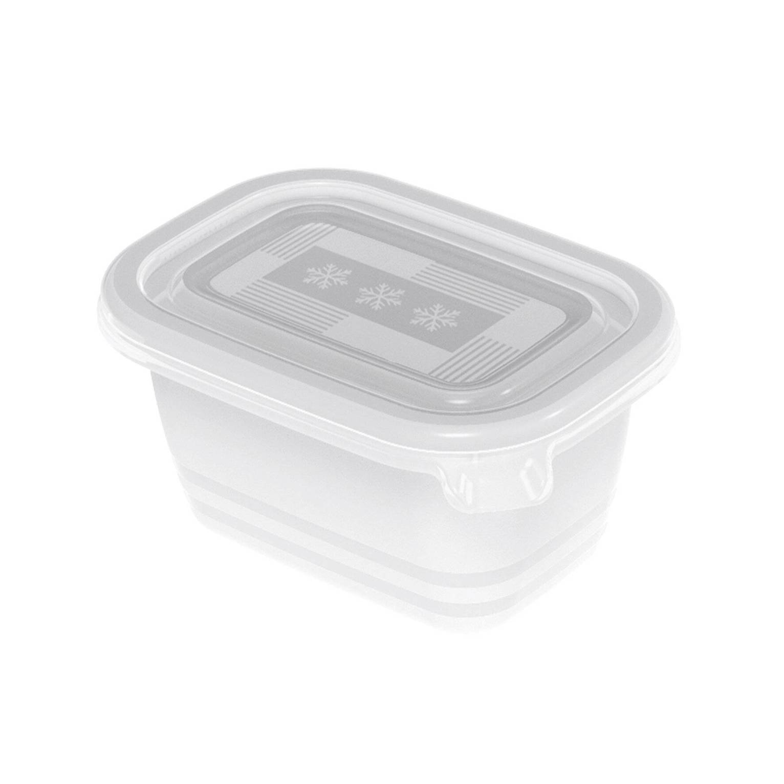 Rotho - Freeze 6er-Set Gefrierboxen (Kunststoff PP, BPA-frei) - Transparent 0,25l mit Deckel | 6 x